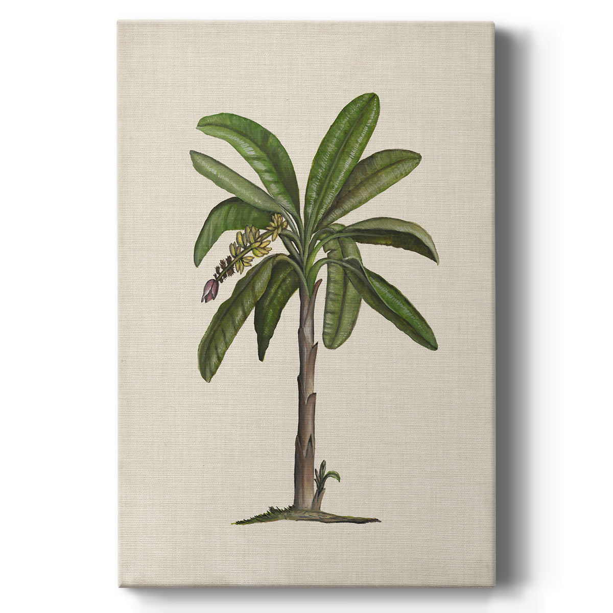 UA CH British Palms II - Canvas Art Print
