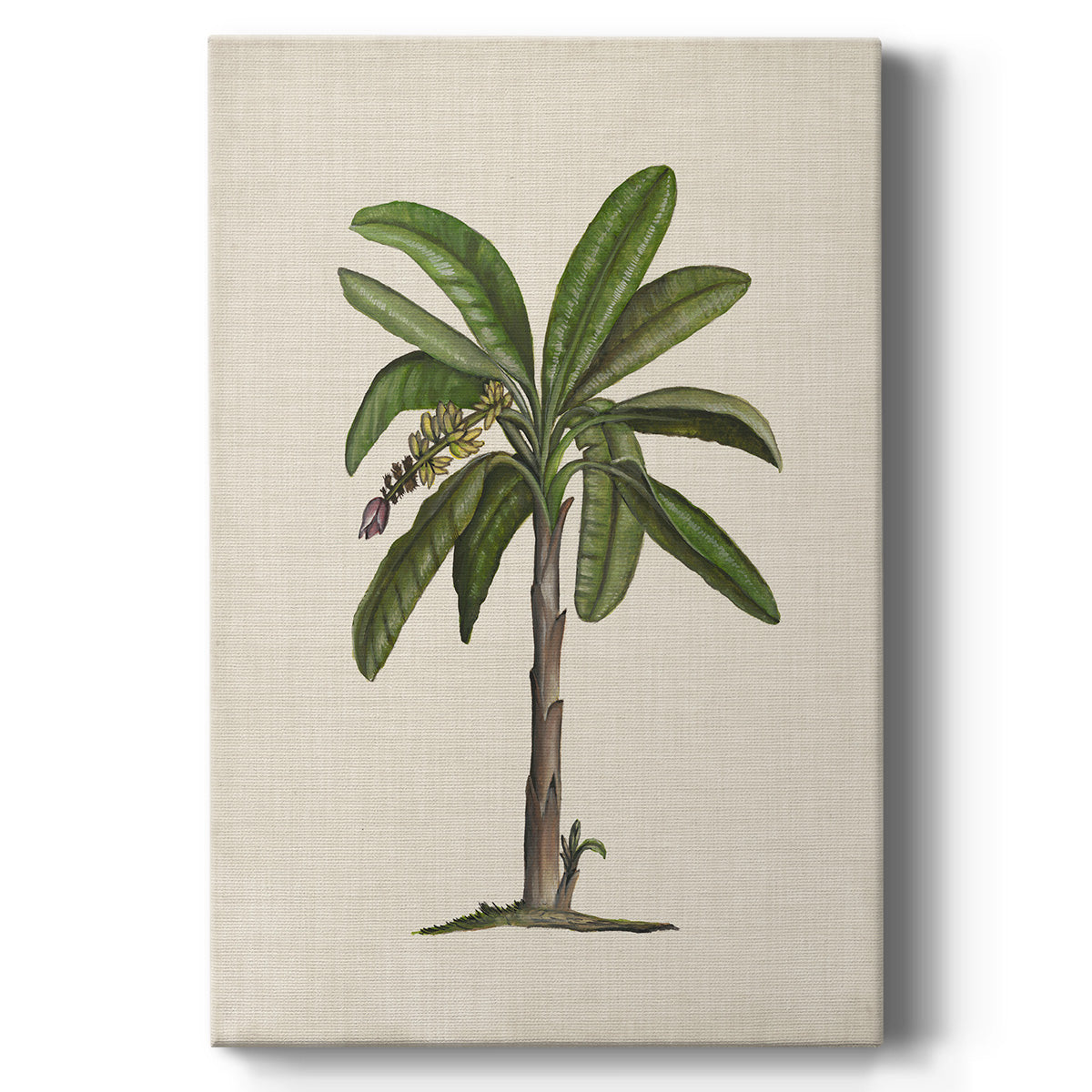 UA CH British Palms II Premium Gallery Wrapped Canvas - Ready to Hang