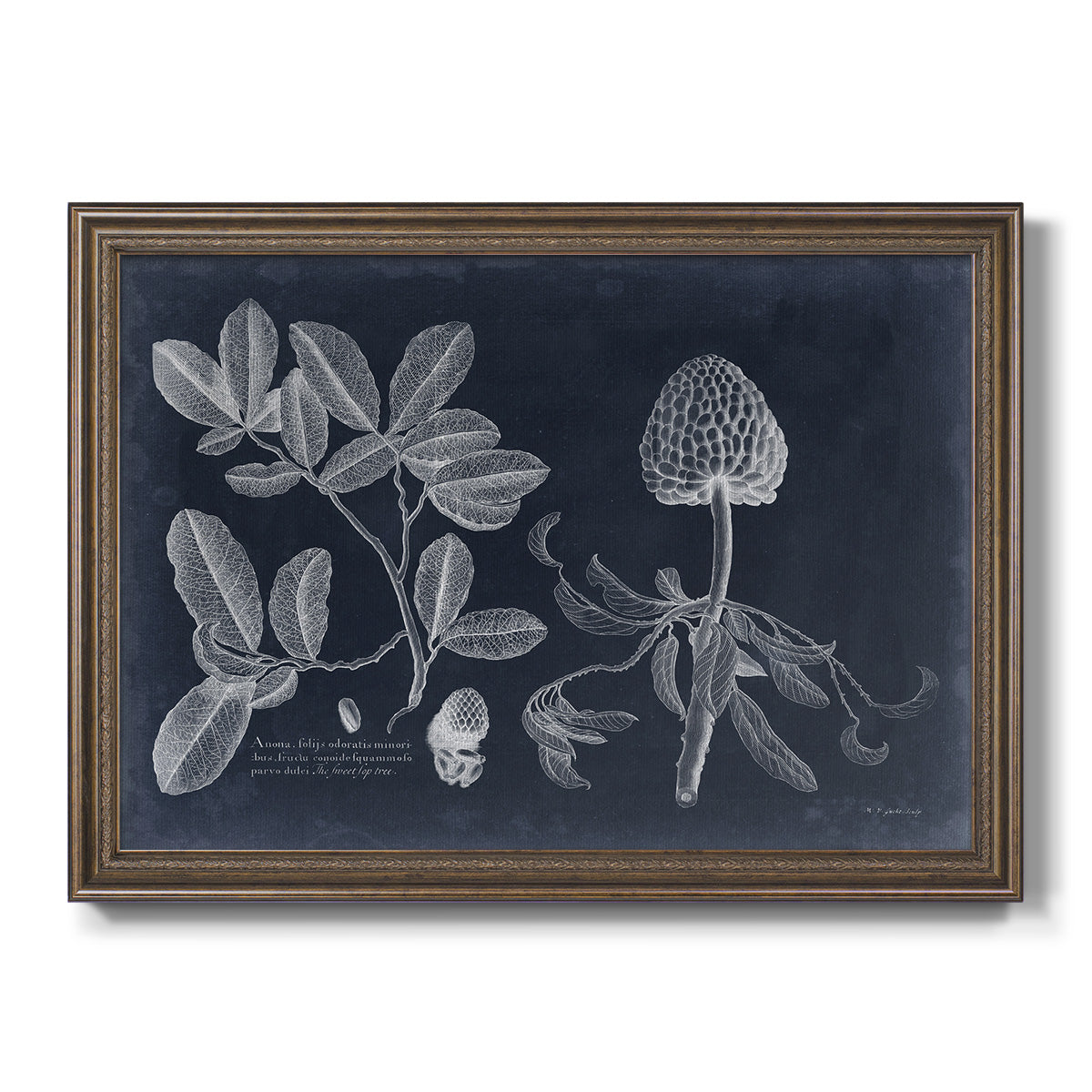 Foliage on Navy II Premium Framed Canvas- Ready to Hang
