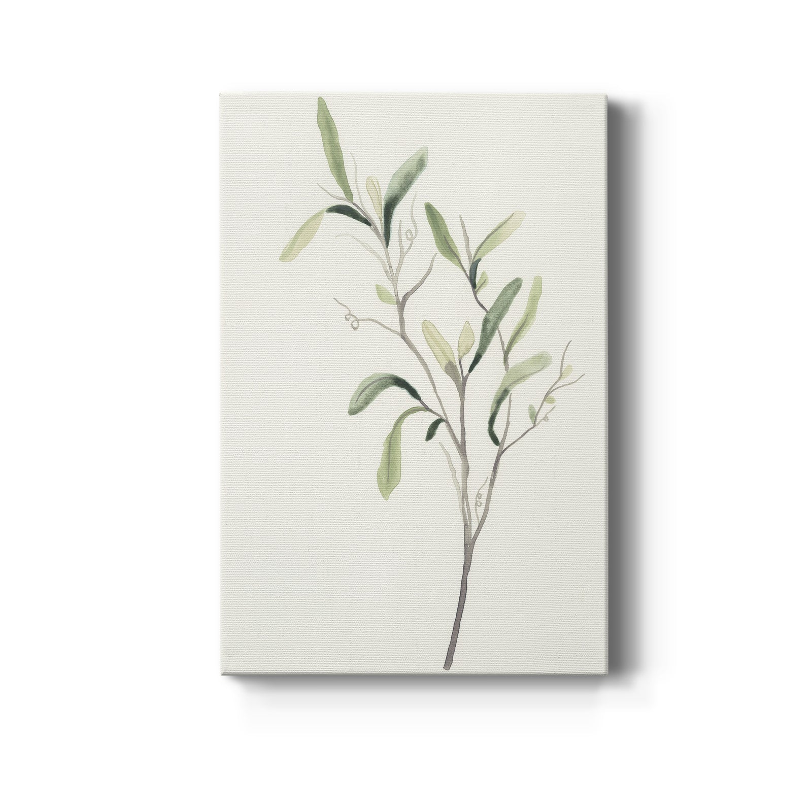 Spindle Sprig III - Canvas Art Print
