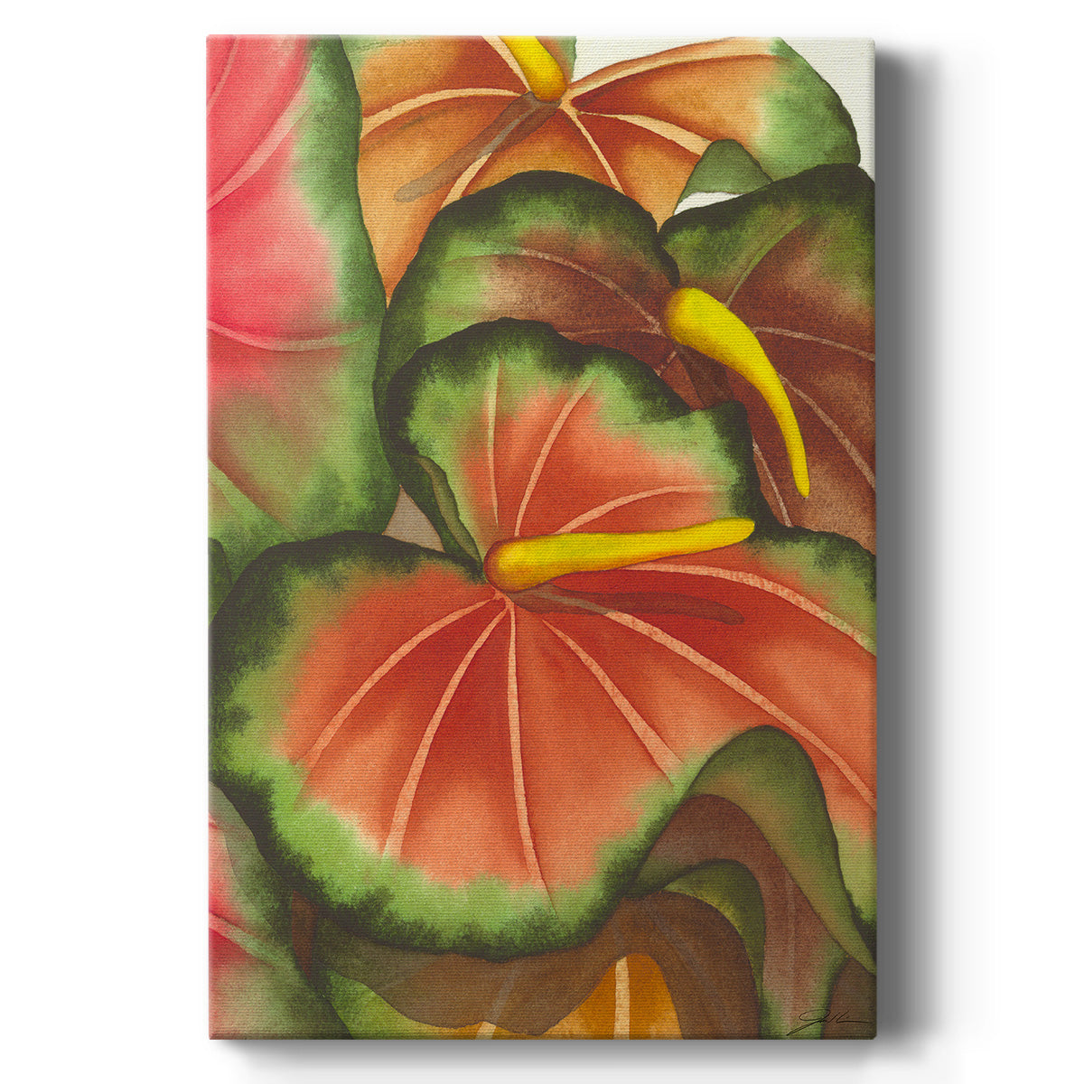 Anthuria II - Canvas Art Print
