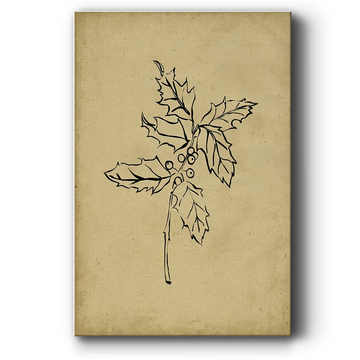Holly Branch I - Canvas Art Print