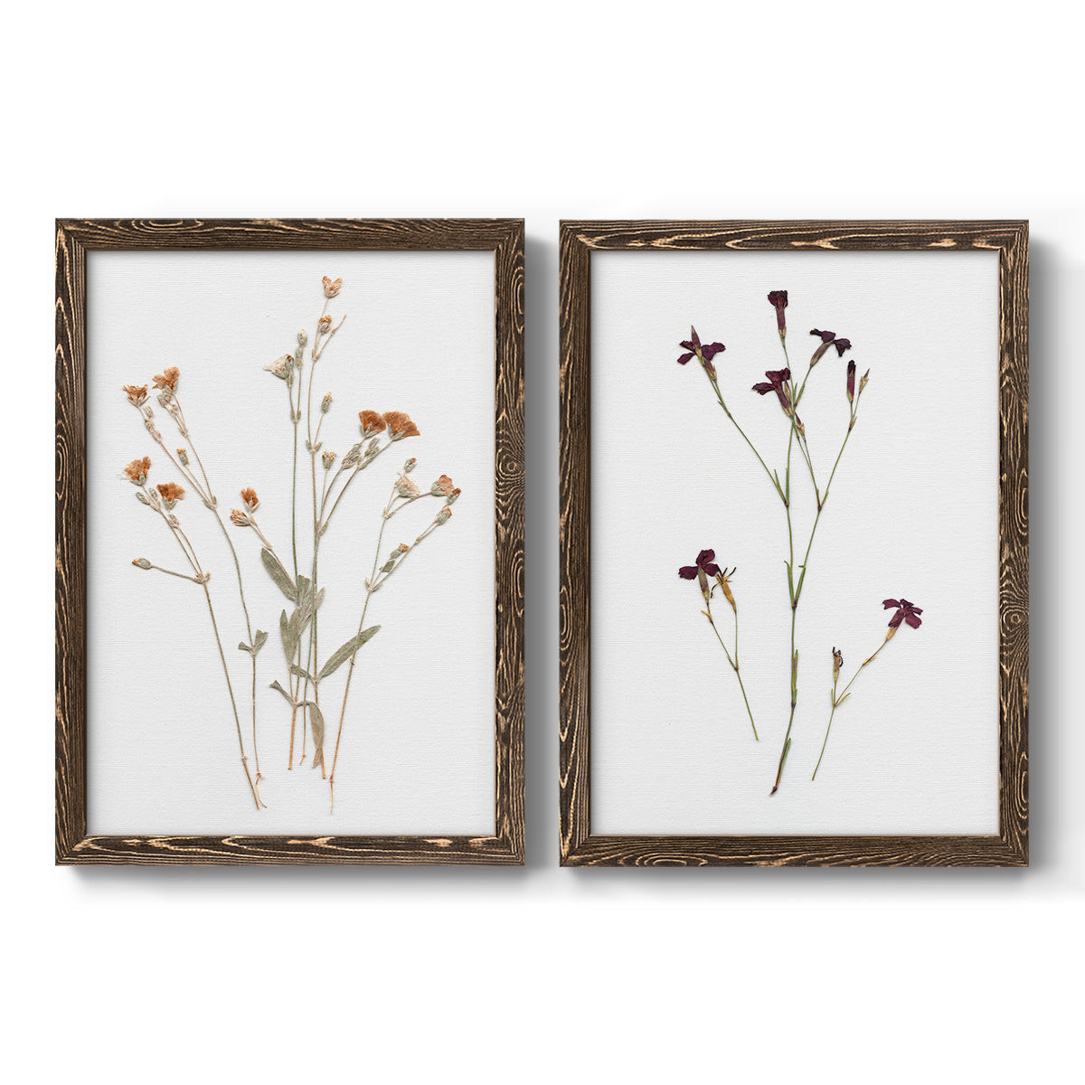 Pressed Botanical I - Premium Framed Canvas 2 Piece Set - Ready to Hang