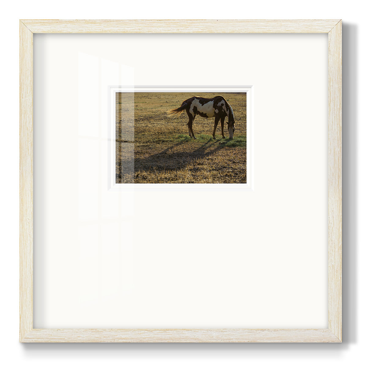 Long Shadow- Premium Framed Print Double Matboard