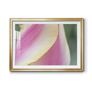 Delicate - Modern Framed Art Print