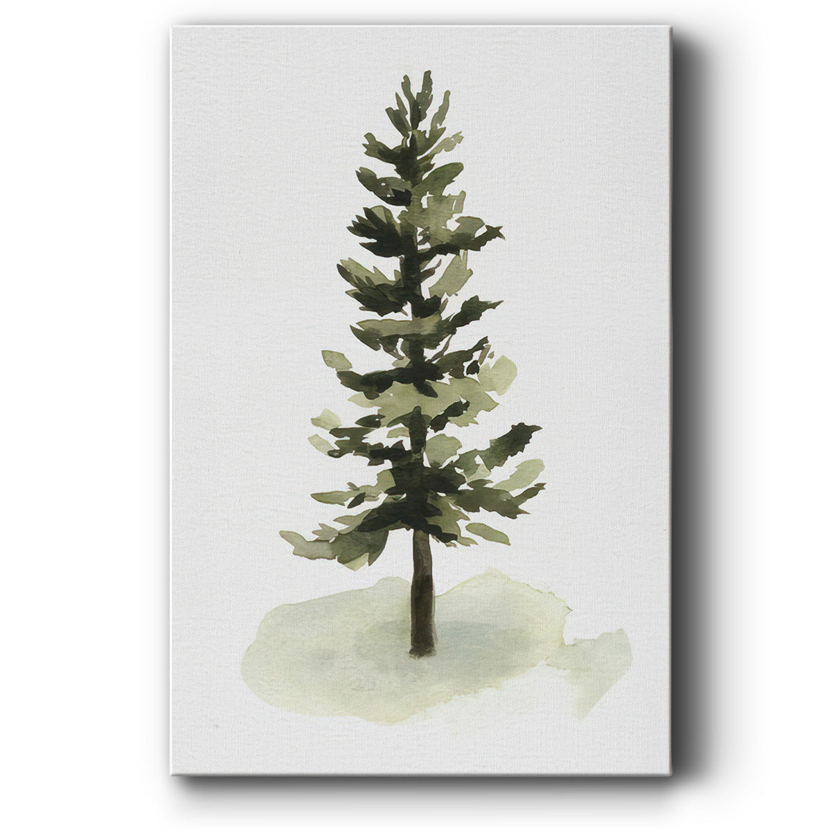 Watercolor Pine II -