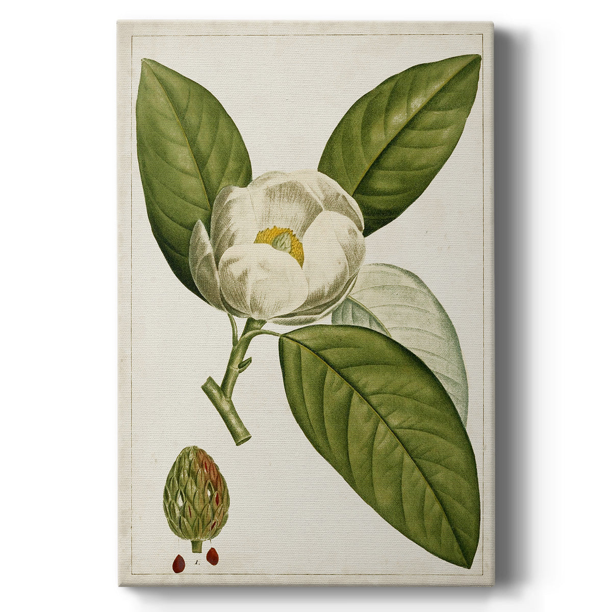 Antique Flowering Trees II - Canvas Art Print