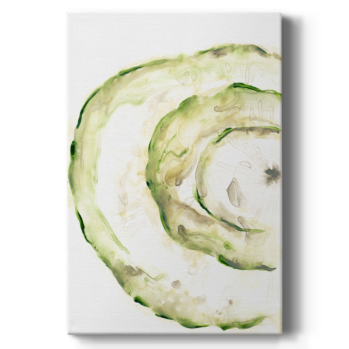 Lichen Halo V - Canvas Art Print