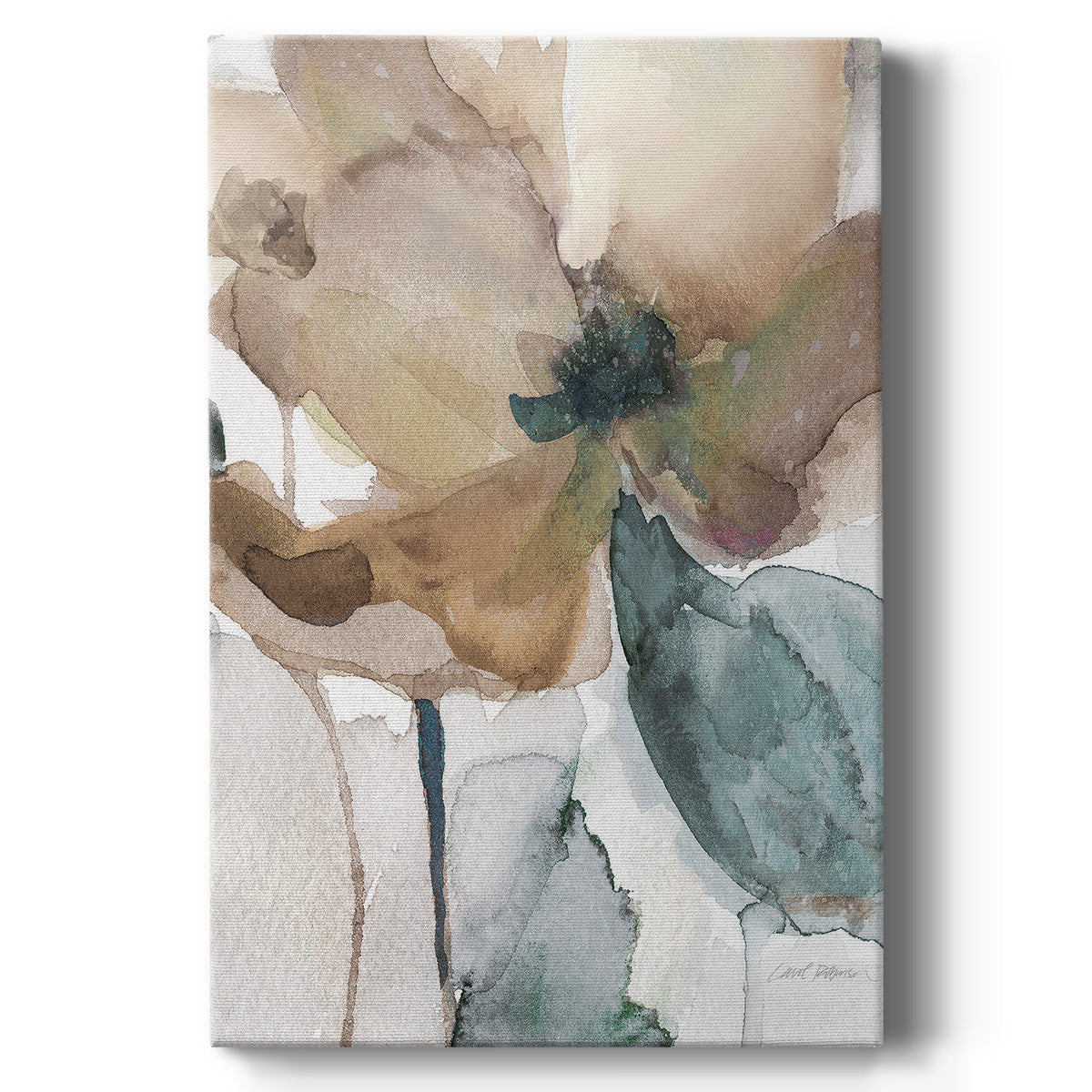 Watercolor Poppy I - Canvas Art Print