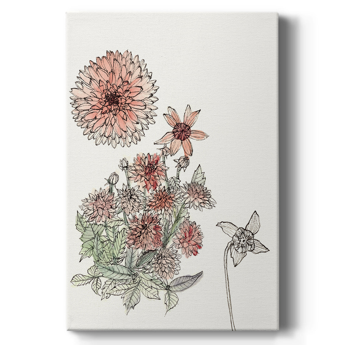 Dahlia Study - Canvas Art Print