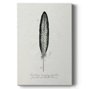 Found Feather II - Canvas Art Print