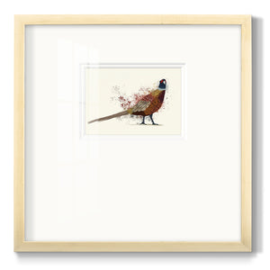 Pheasant Splash 2 Premium Framed Print Double Matboard