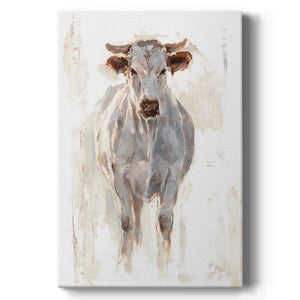Sunlit Cows I - Canvas Art Print