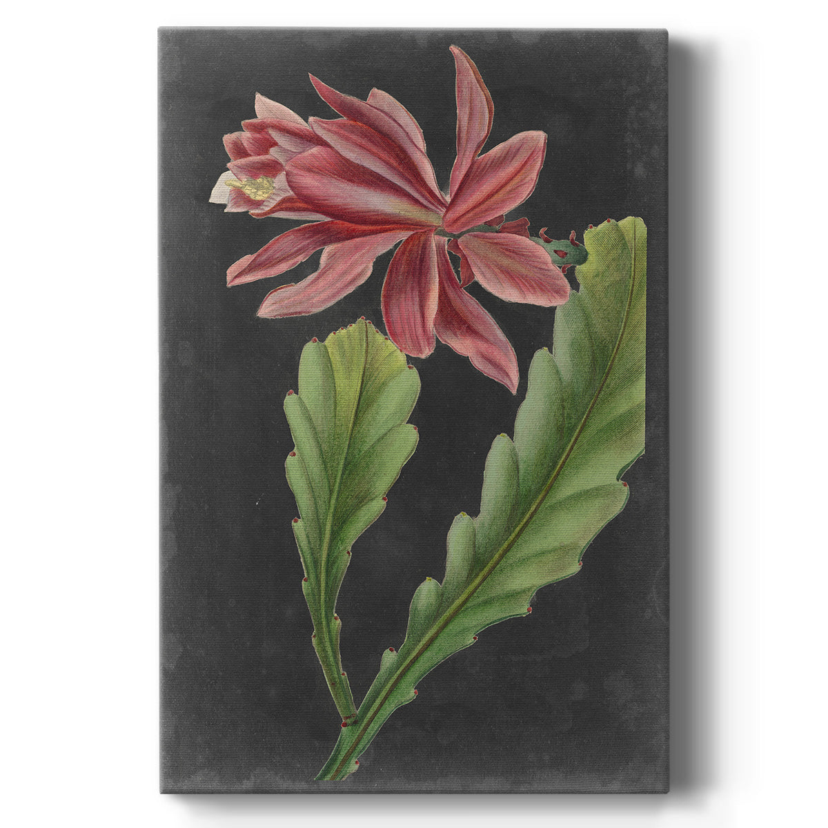 Dramatic Tropicals I Premium Gallery Wrapped Canvas - Ready to Hang