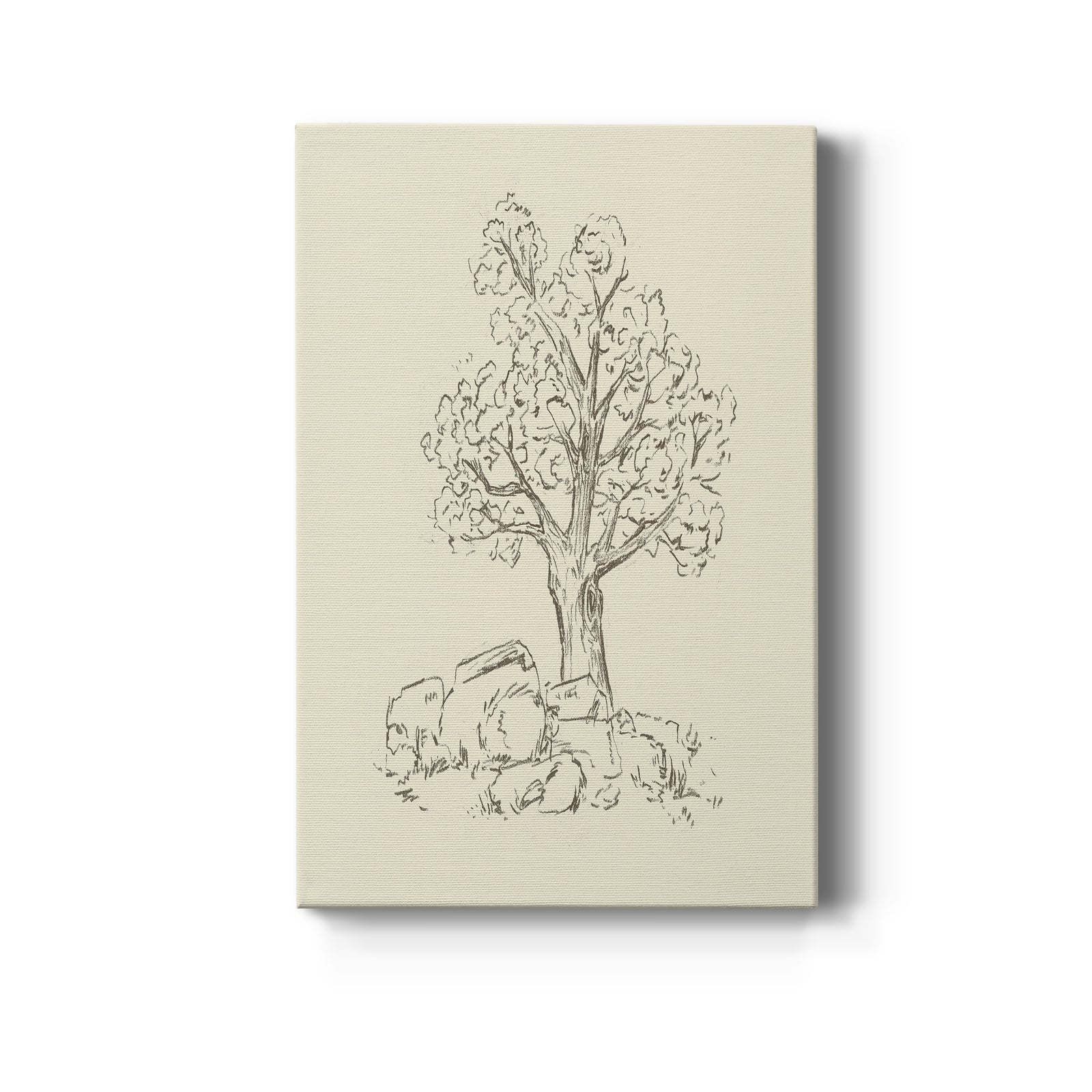 Wooded Path II - Canvas Art Print