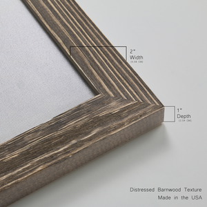 Hydrusphere I - Barnwood Framed Canvas Set