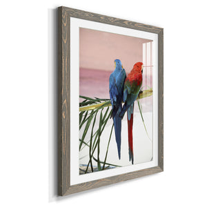 Palm Parrots - Barnwood