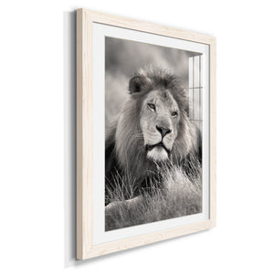 Pride of the Pride - Barnwood Framed Art Print