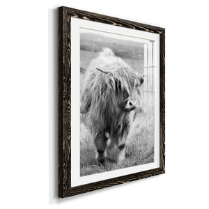 Gretna Green Highland - Barnwood Framed Art Print