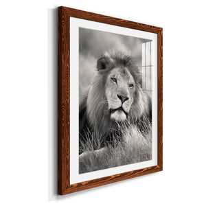 Pride of the Pride - Barnwood Framed Art Print
