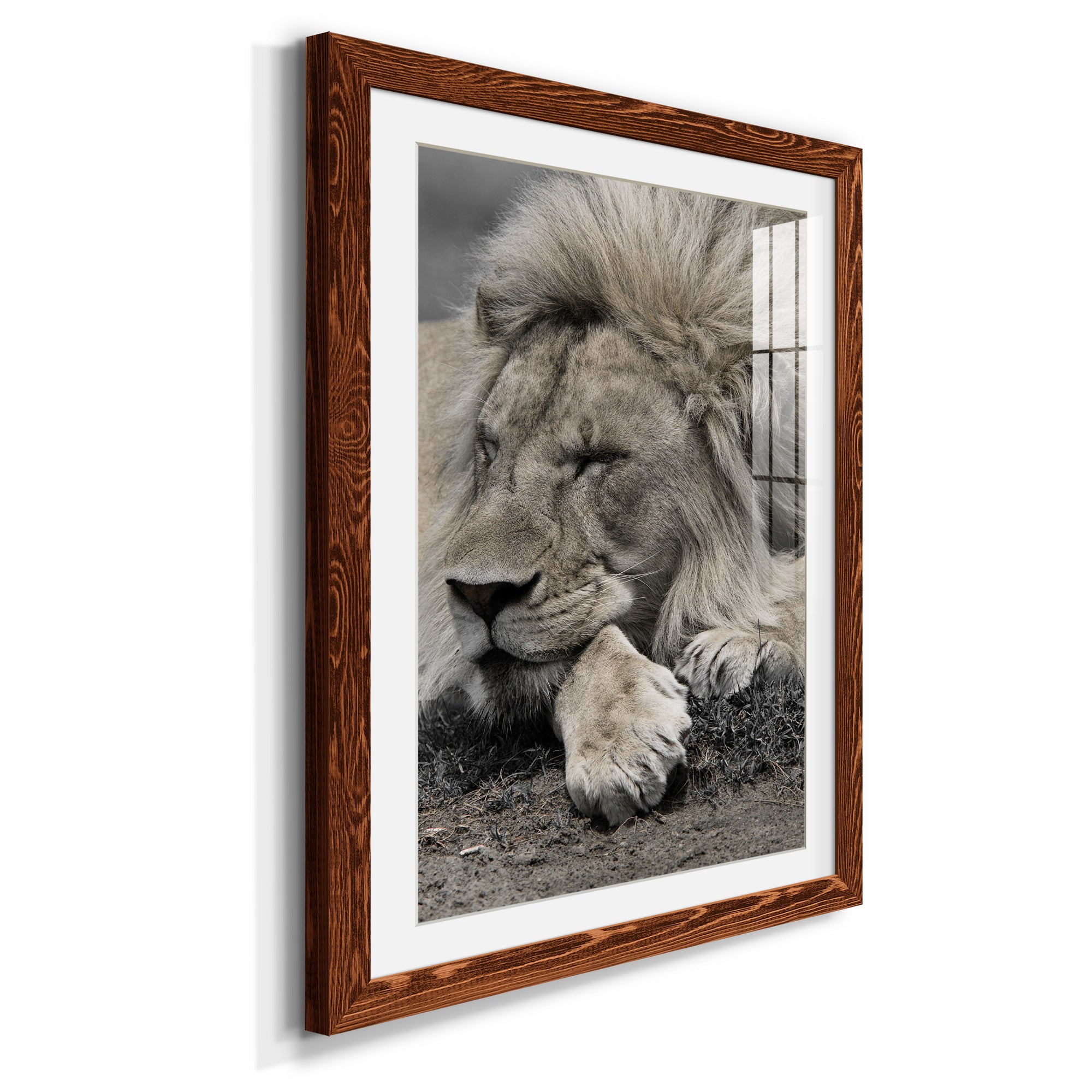Sleepy Afternoon in Masai Mara - Barnwood Framed Art Print