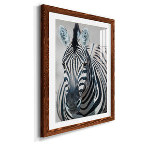 Namibia Zebra - Premium Framed Print - Distressed Barnwood Frame - Ready to Hang