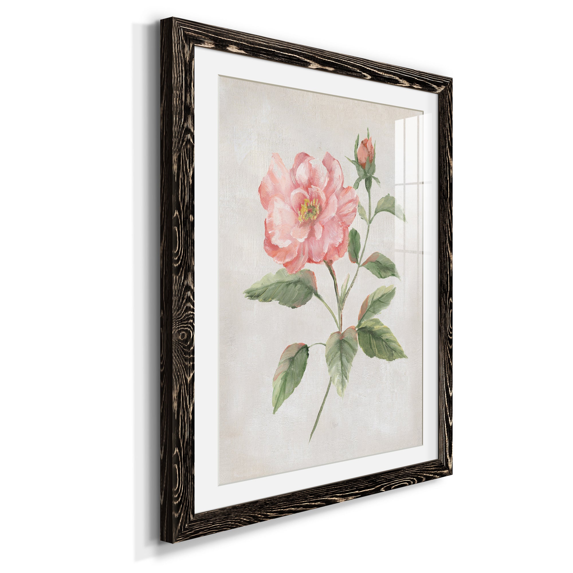 Grandiflora II - Barnwood Framed Art Print