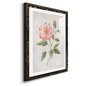 Grandiflora II - Barnwood Framed Art Print
