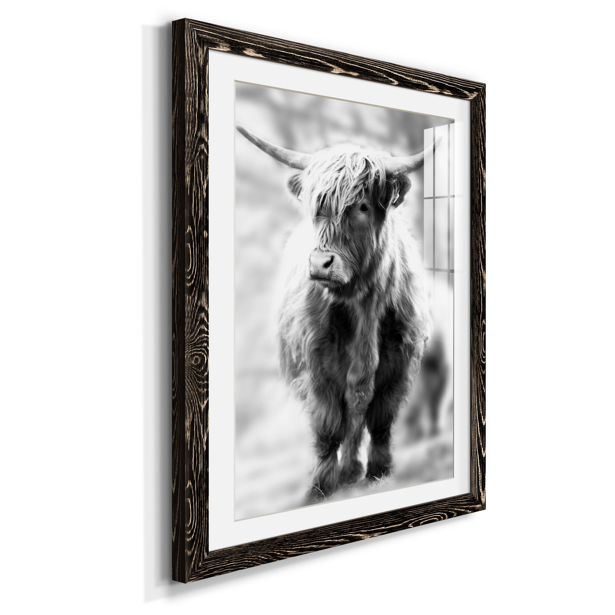Yorkshire Highland - Premium Framed Print - Distressed Barnwood Frame - Ready to Hang