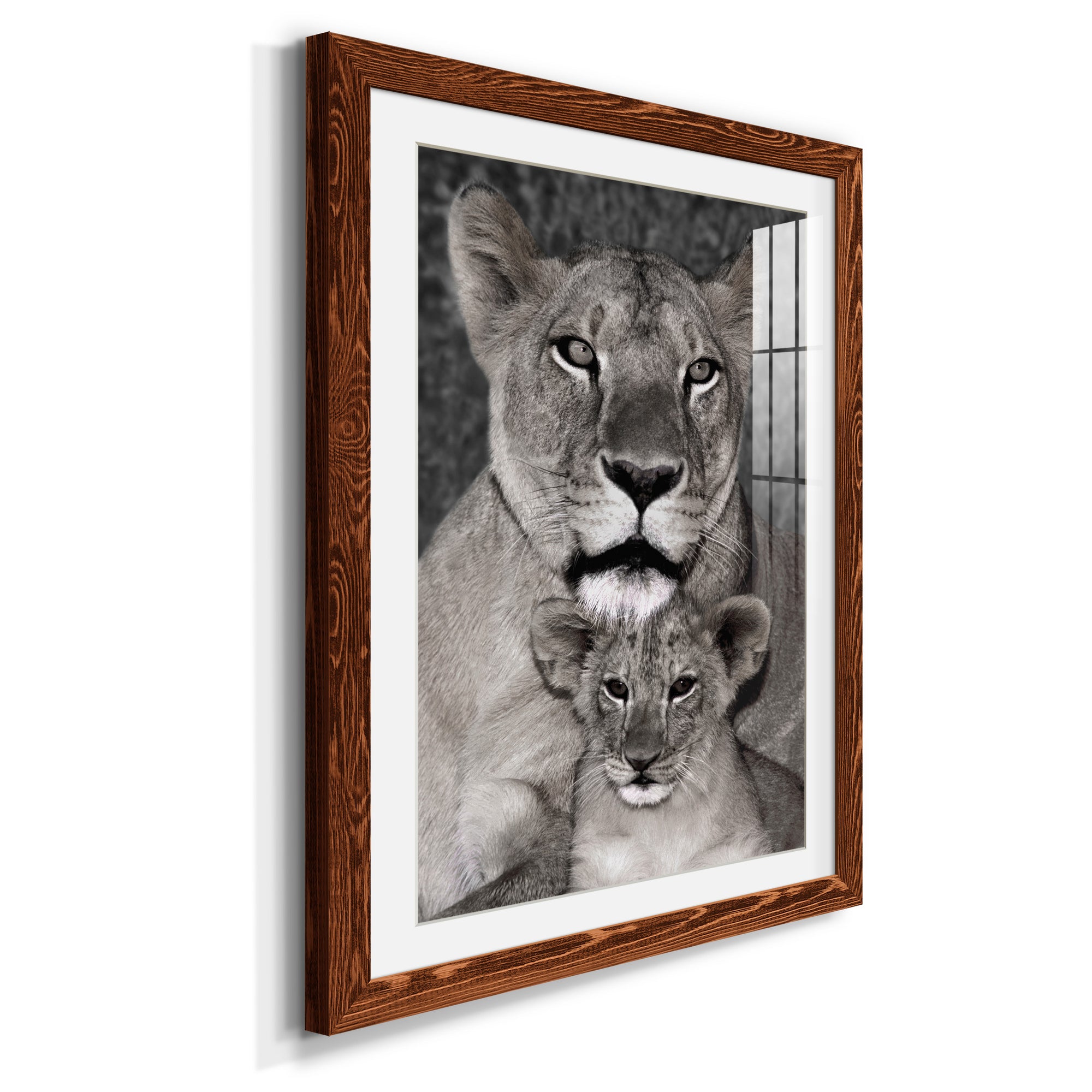 Lioness and Cub - Barnwood Framed Art Print