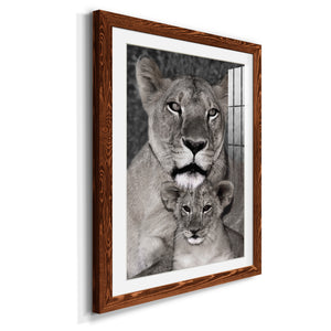 Lioness and Cub - Barnwood Framed Art Print