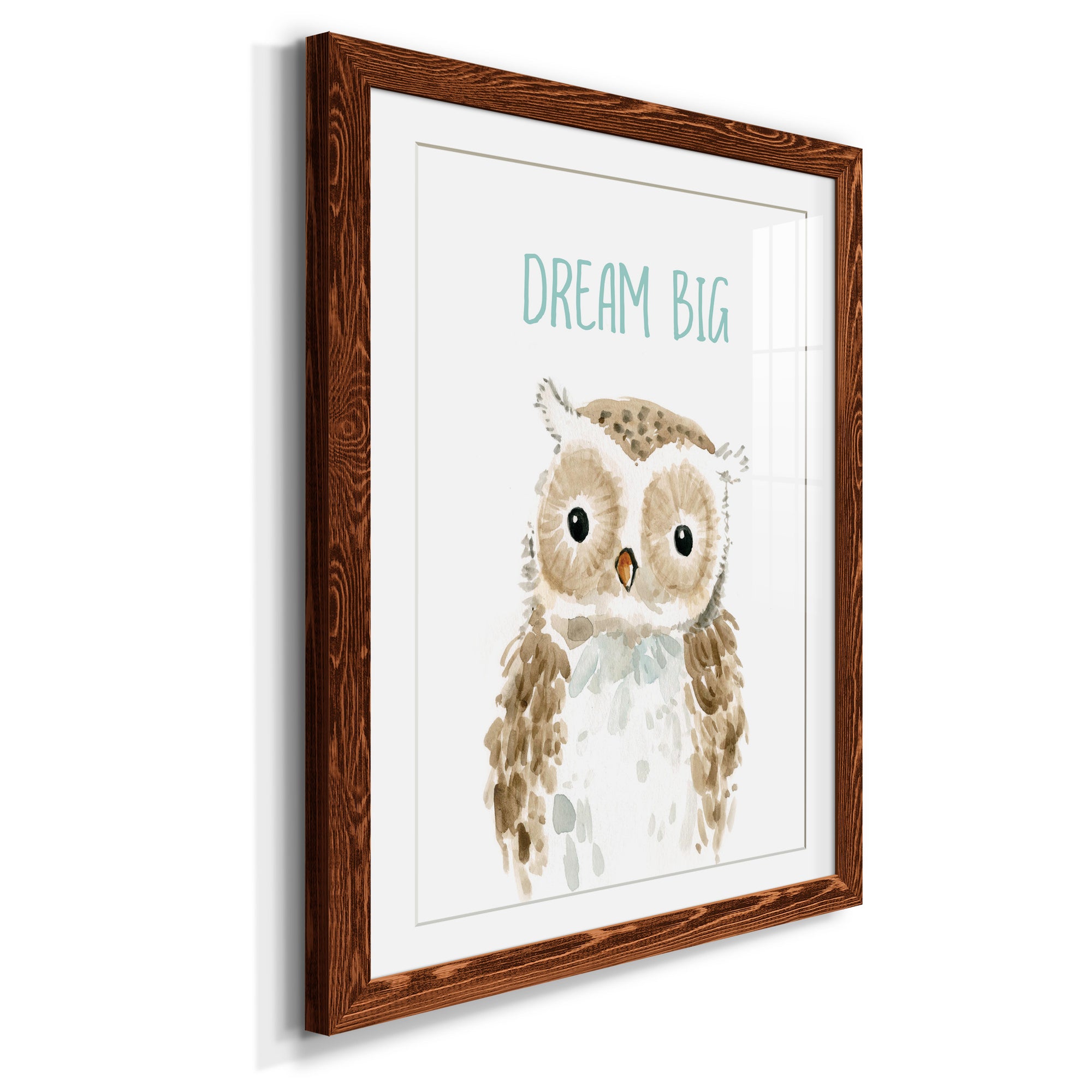 Dream Big Owl - Barnwood