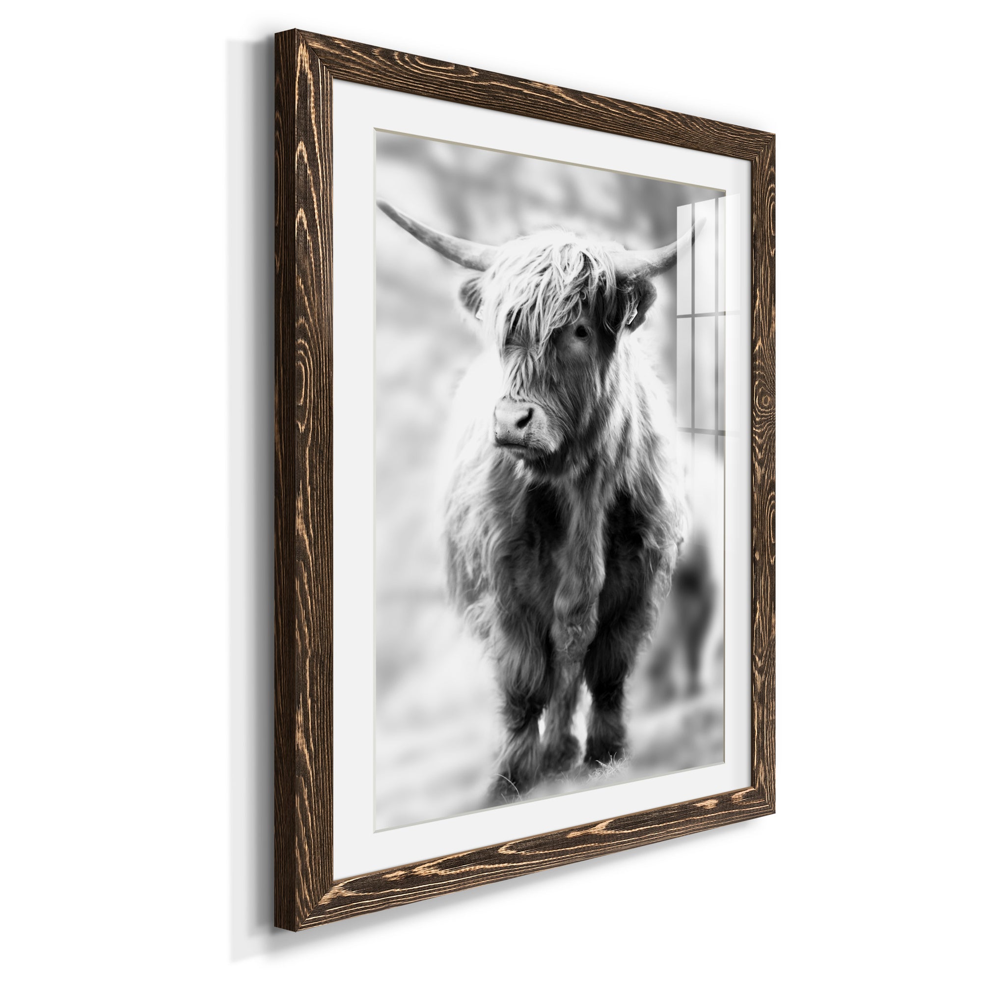 Yorkshire Highland - Premium Framed Print - Distressed Barnwood Frame - Ready to Hang