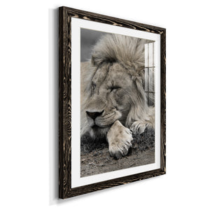Sleepy Afternoon in Masai Mara - Barnwood Framed Art Print