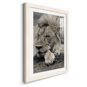 Sleepy Afternoon in Masai Mara - Barnwood Framed Art Print