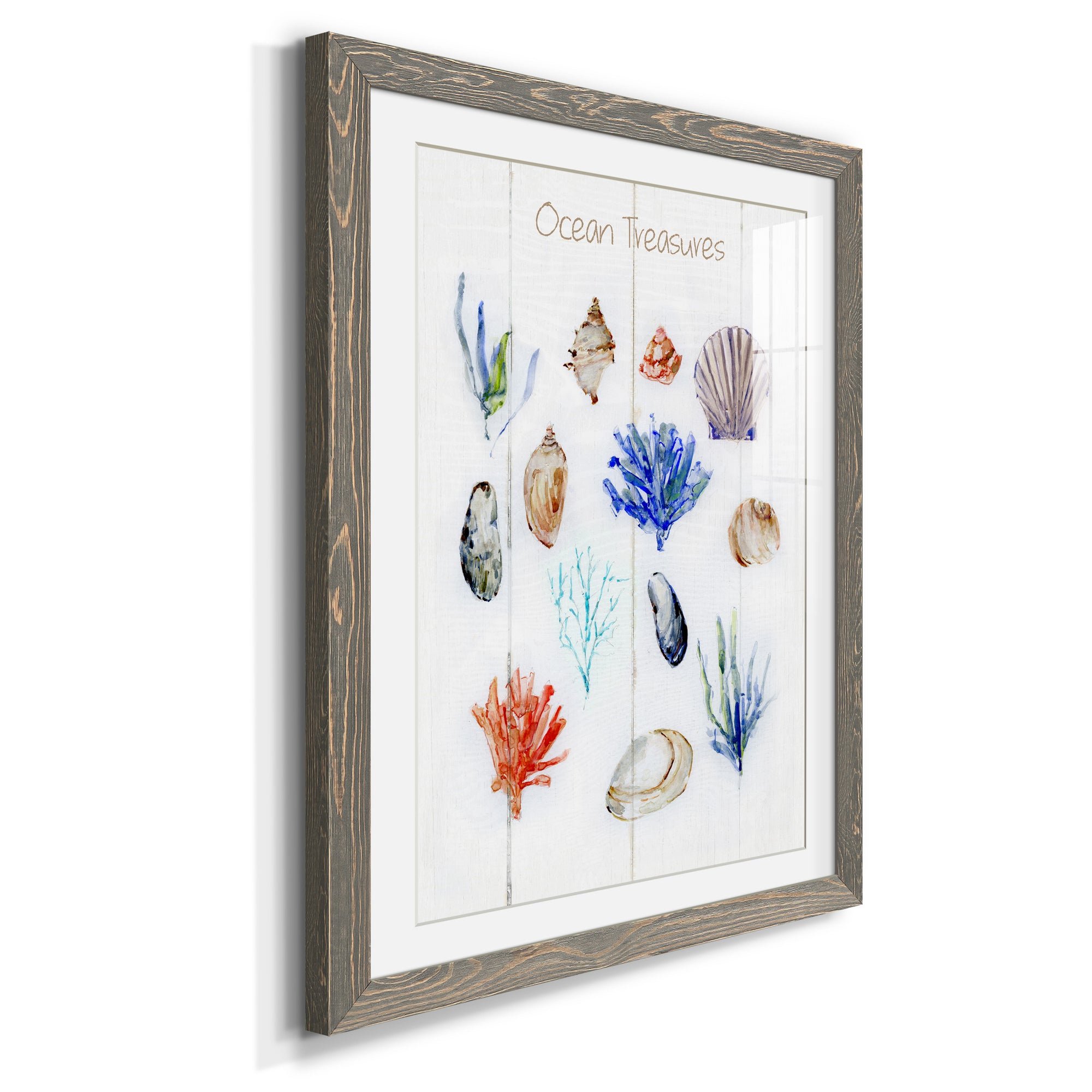 Ocean Treasures - Premium Framed Print - Distressed Barnwood Frame - Ready to Hang