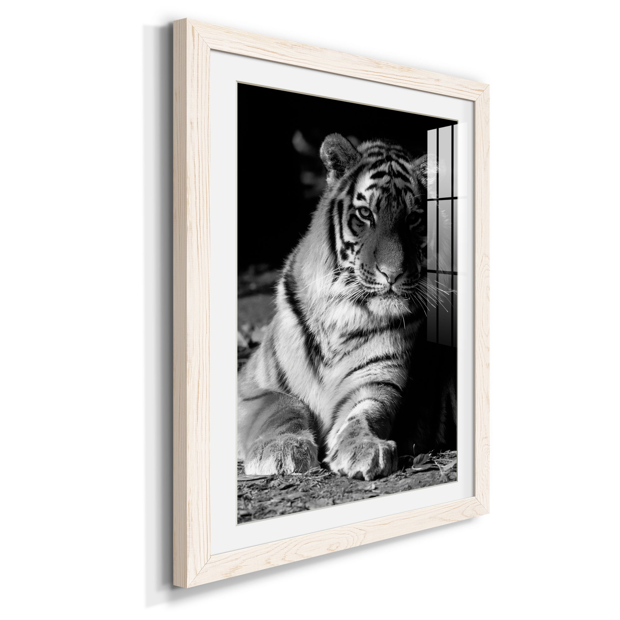 Tiger Repose - Barnwood Framed Art Print