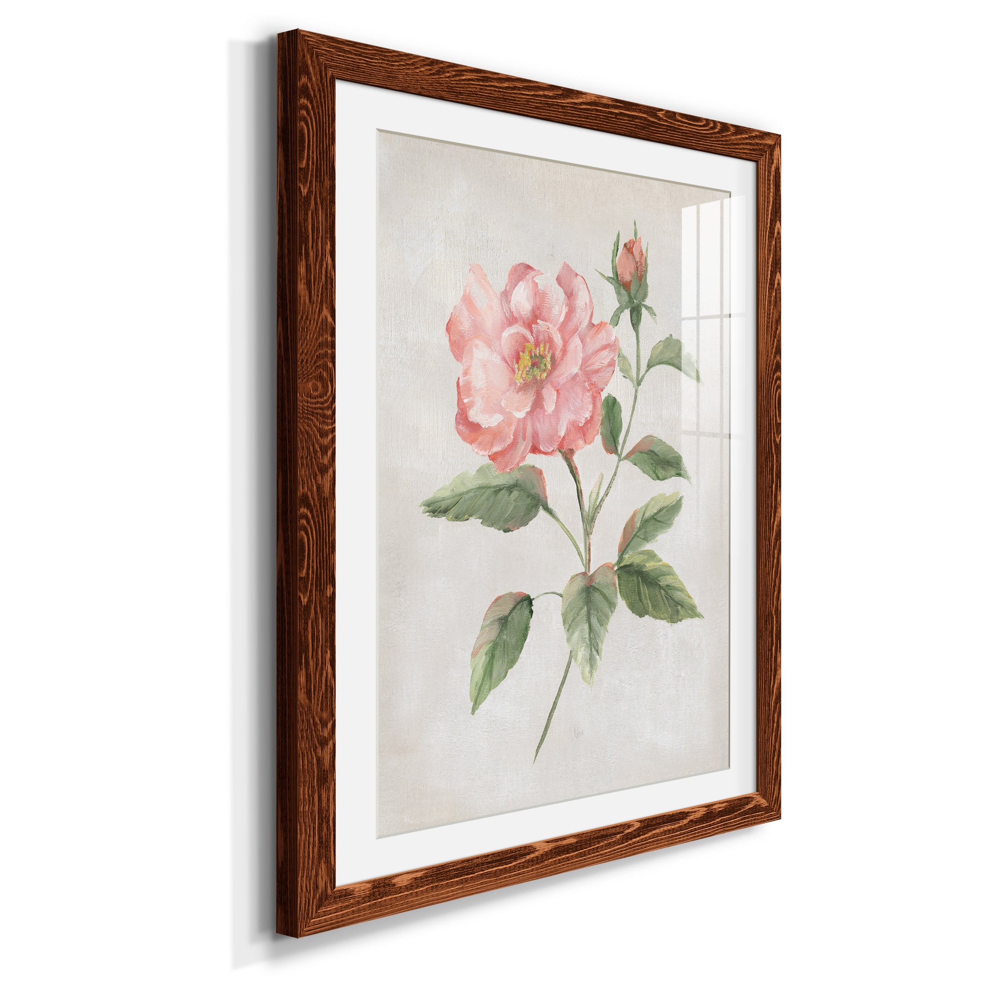 Grandiflora II - Barnwood Framed Art Print