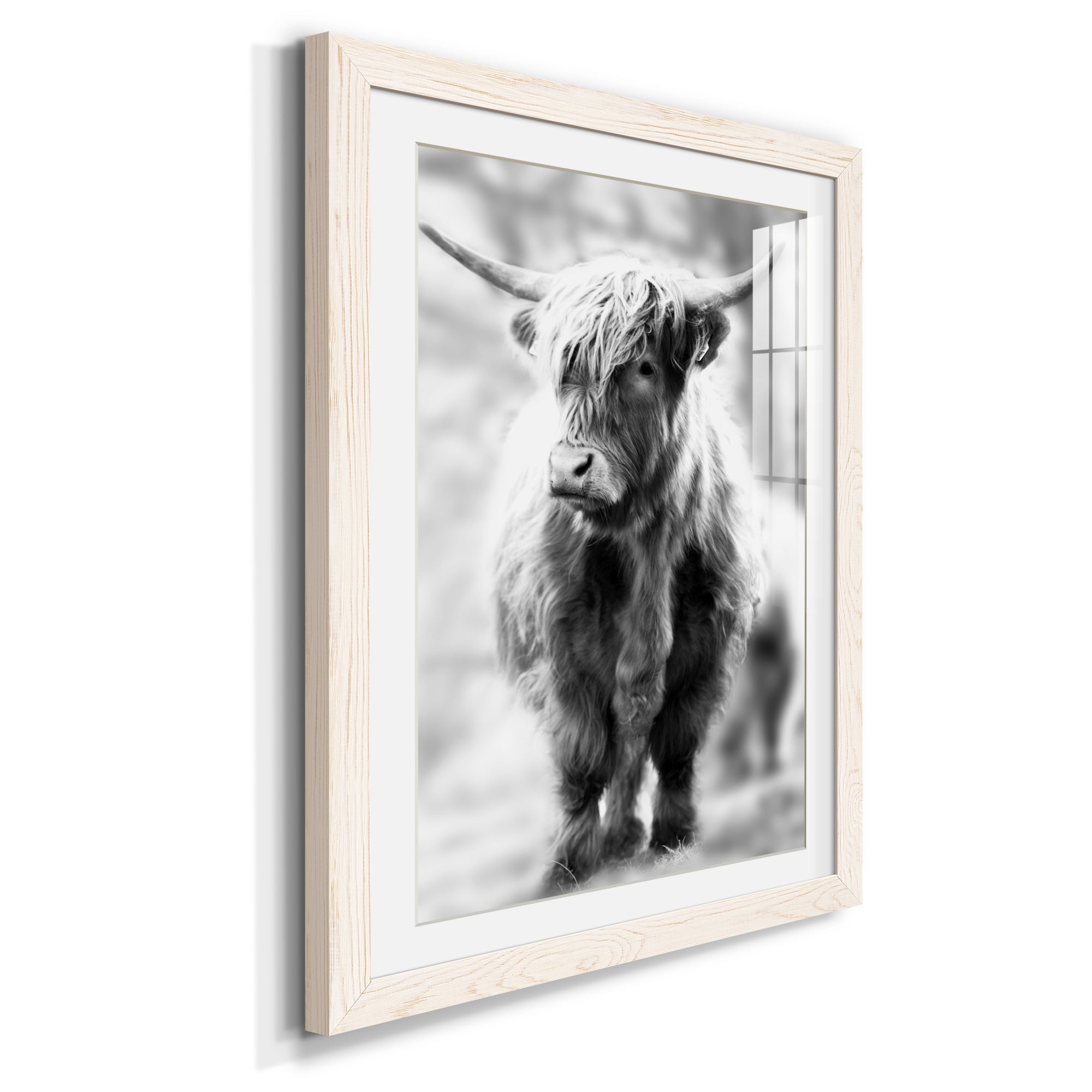 Yorkshire Highland - Premium Framed Print - Distressed Barnwood Frame - Ready to Hang