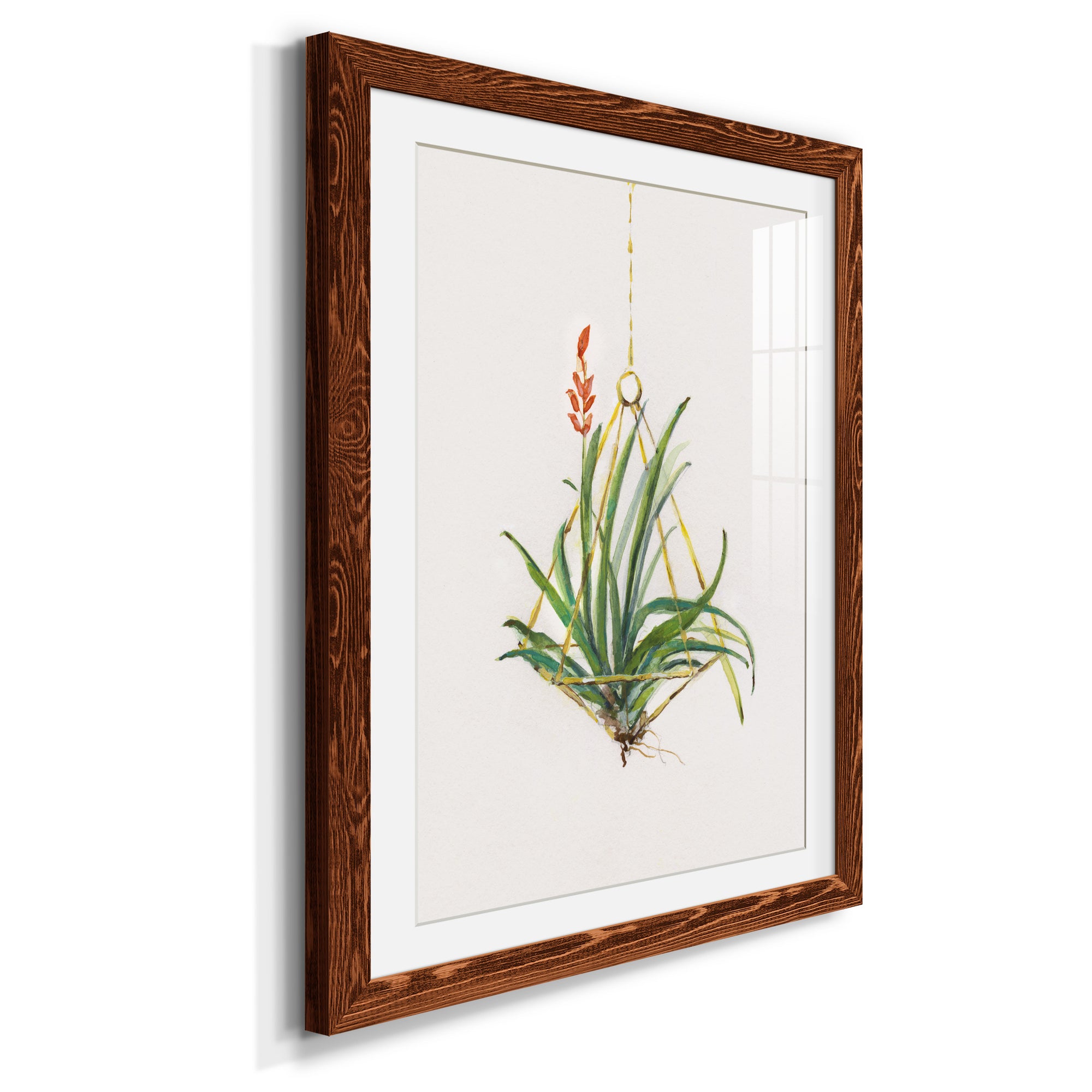 Gardenaire I - Barnwood Framed Art Print