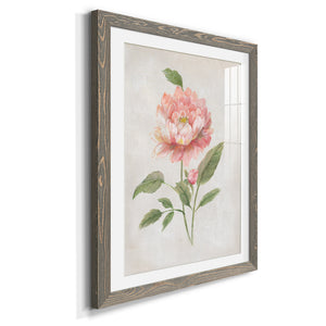 Grandiflora III - Barnwood Framed Art Print
