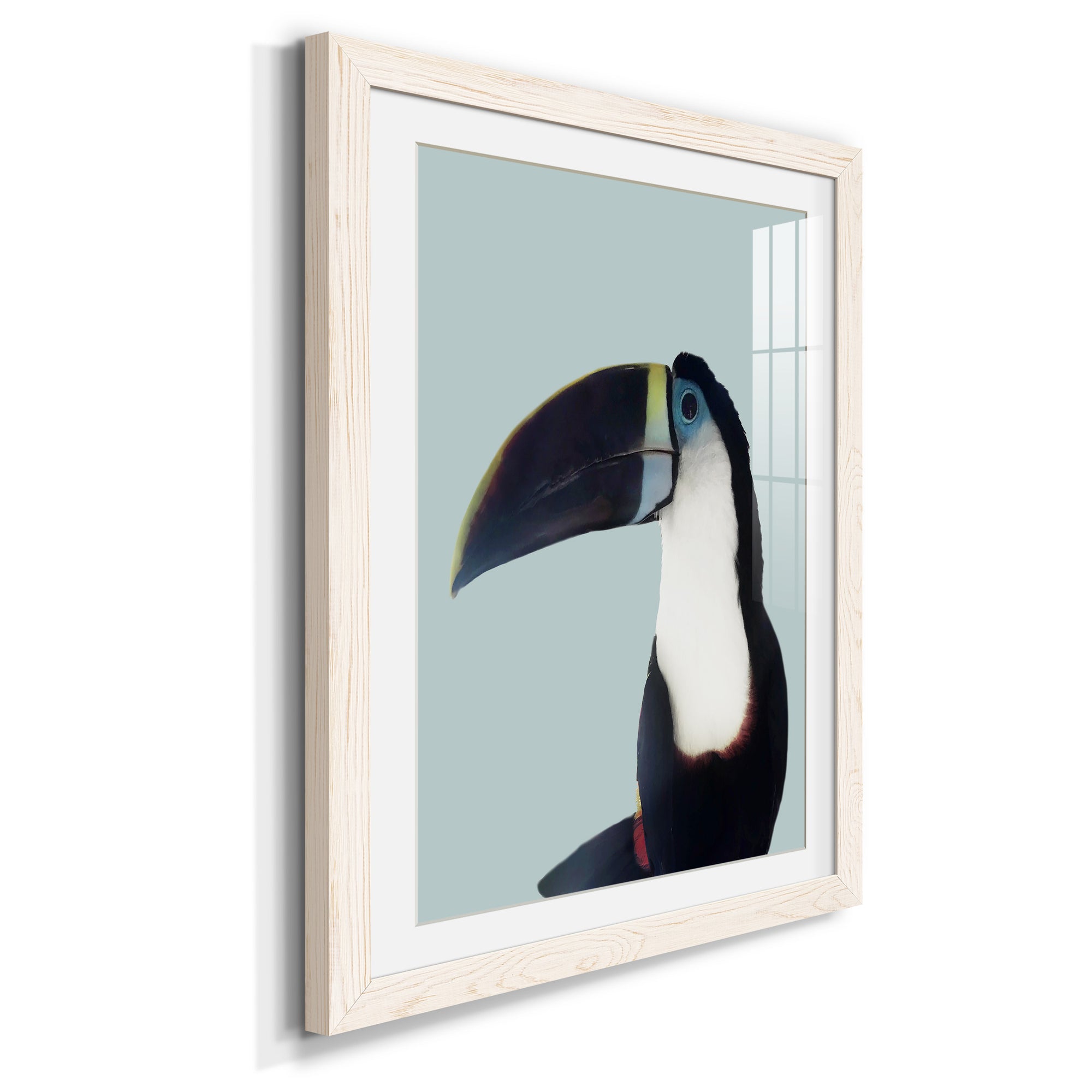Aruba Wildlife - Premium Framed Print - Distressed Barnwood Frame - Ready to Hang