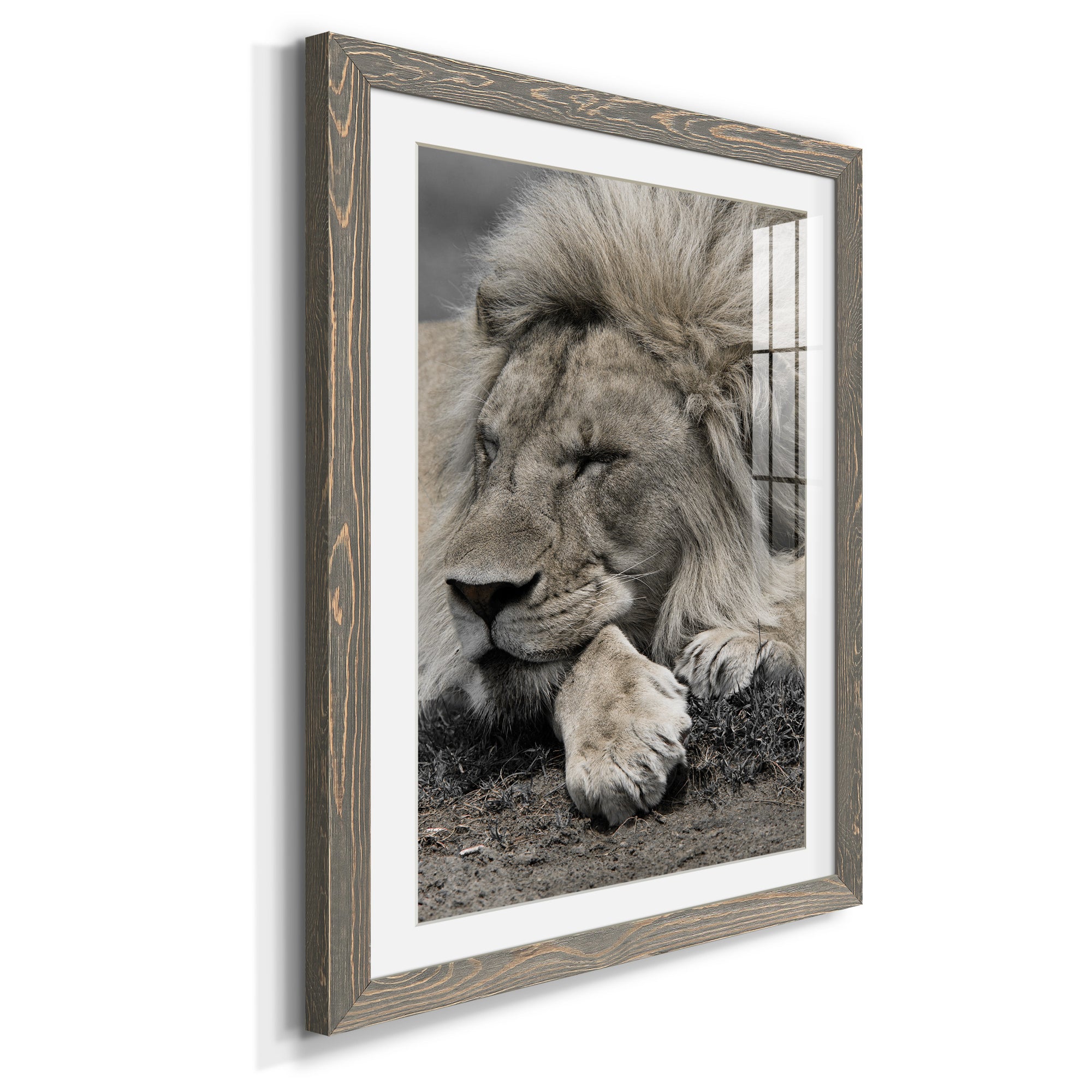 Sleepy Afternoon in Masai Mara - Barnwood Framed Art Print