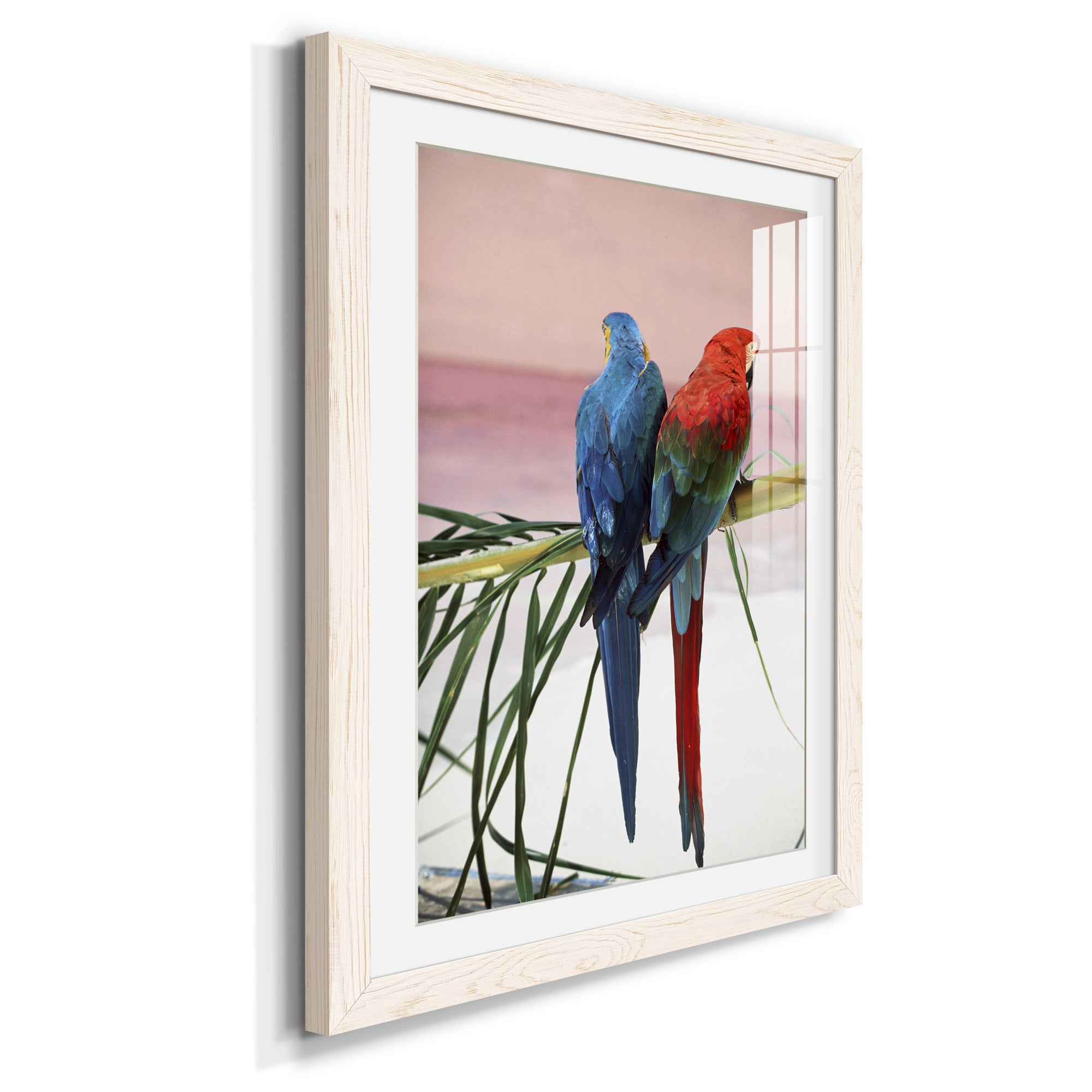 Palm Parrots - Barnwood