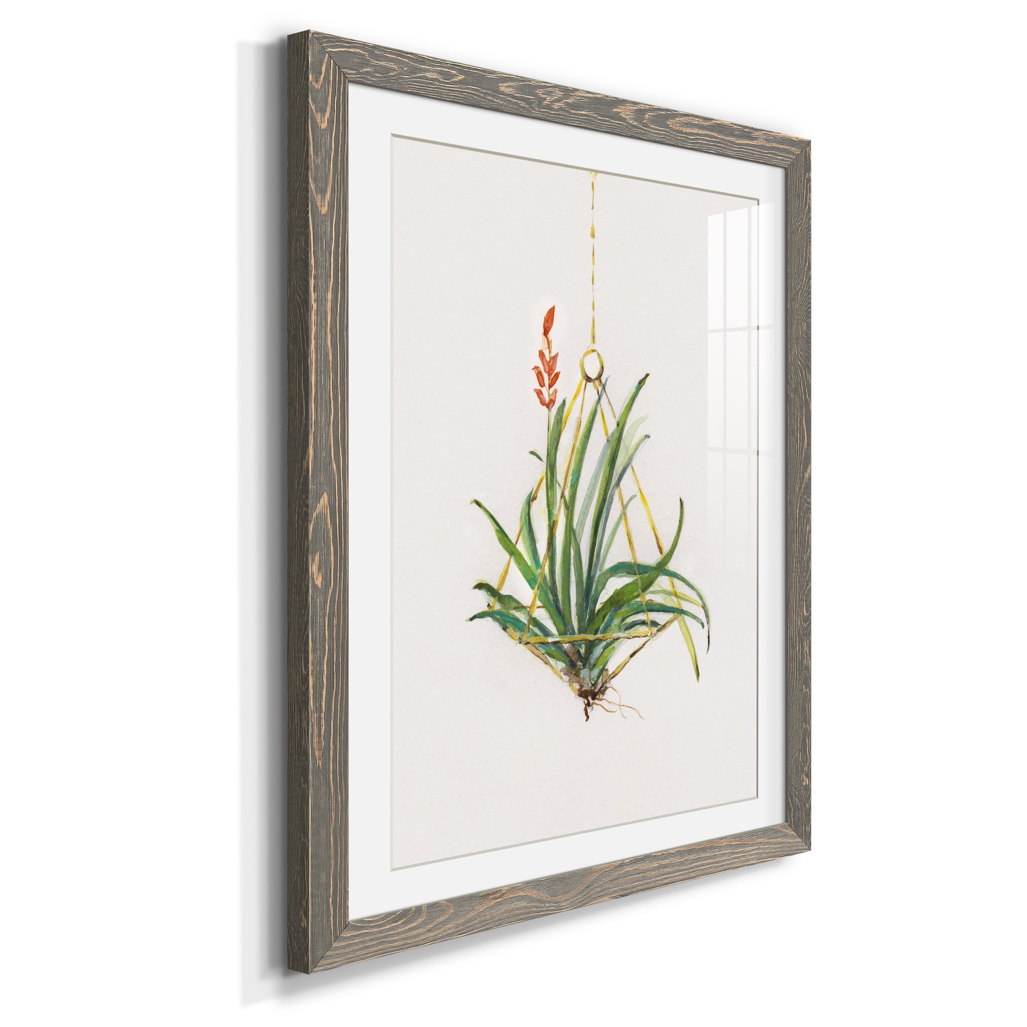 Gardenaire I - Barnwood Framed Art Print