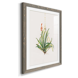 Gardenaire I - Barnwood Framed Art Print