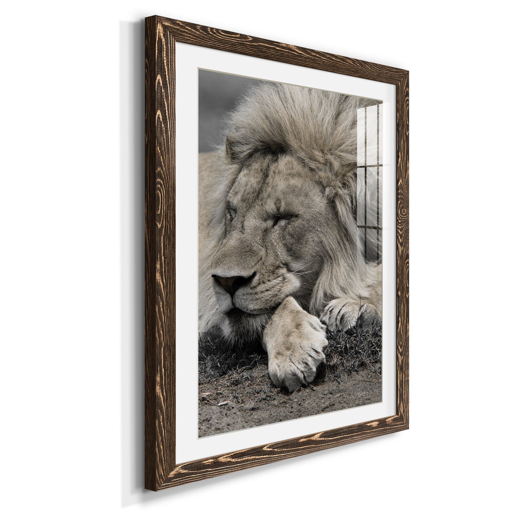 Sleepy Afternoon in Masai Mara - Barnwood Framed Art Print