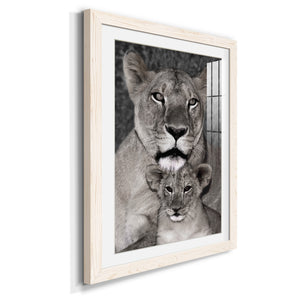 Lioness and Cub - Barnwood Framed Art Print
