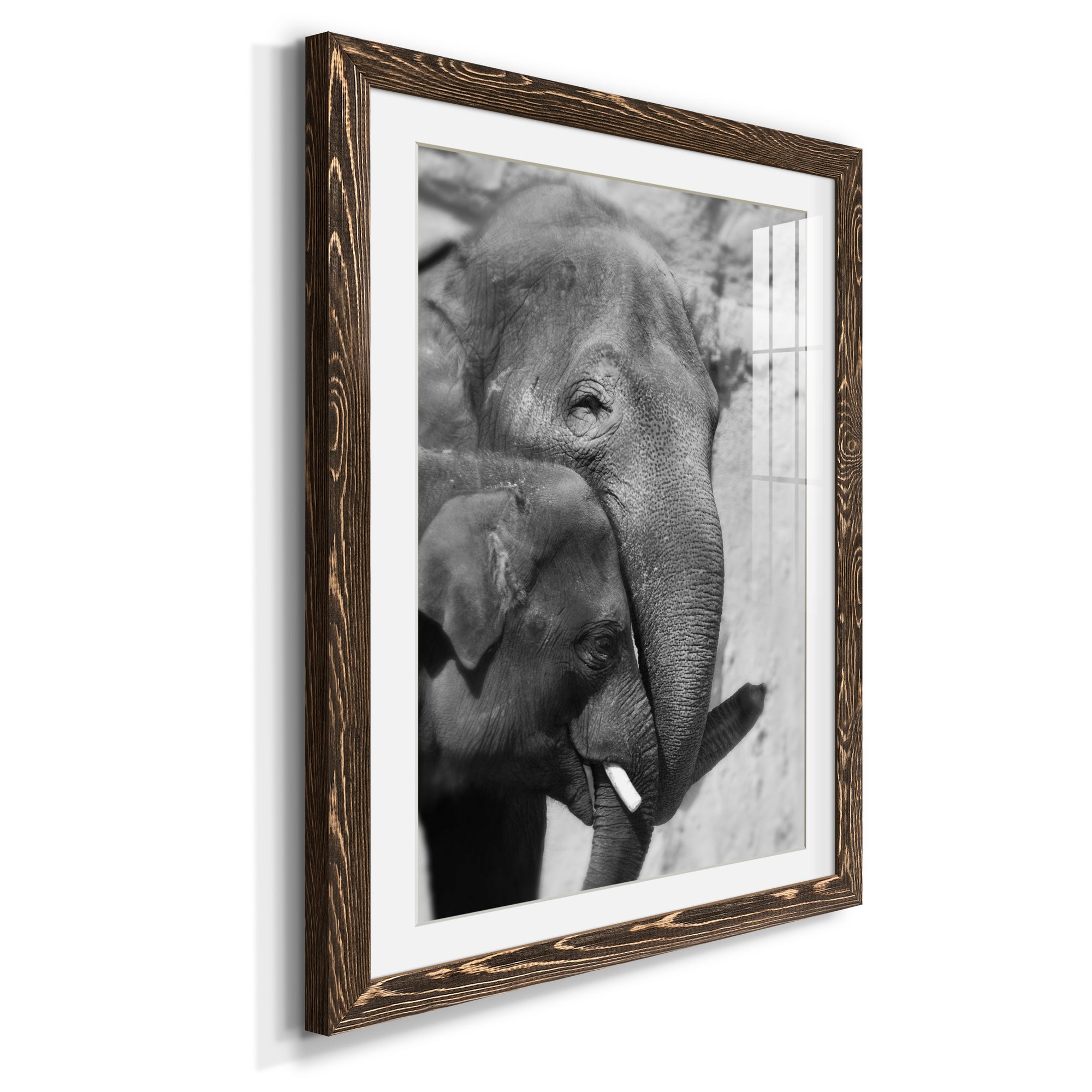 Tender Moment - Barnwood Framed Art Print