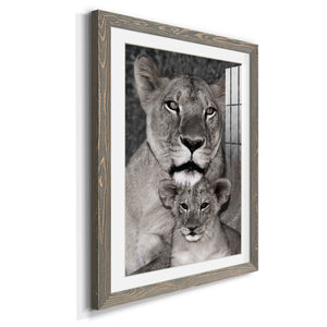 Lioness and Cub - Barnwood Framed Art Print